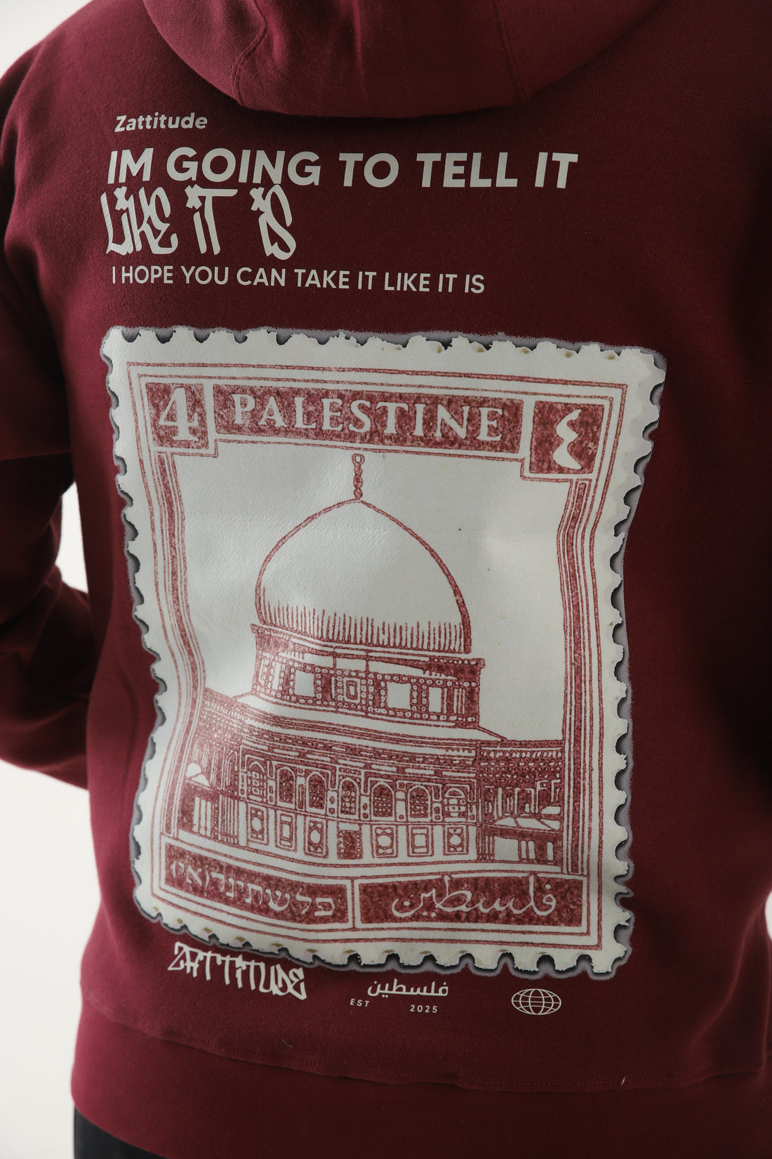 Tell It Like It Is Hoodie – Palestine Edition